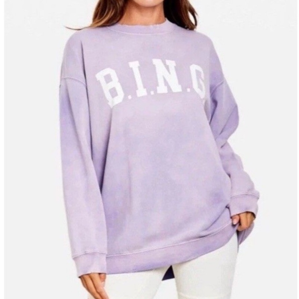 Anine Bing Tyler sweatshirt